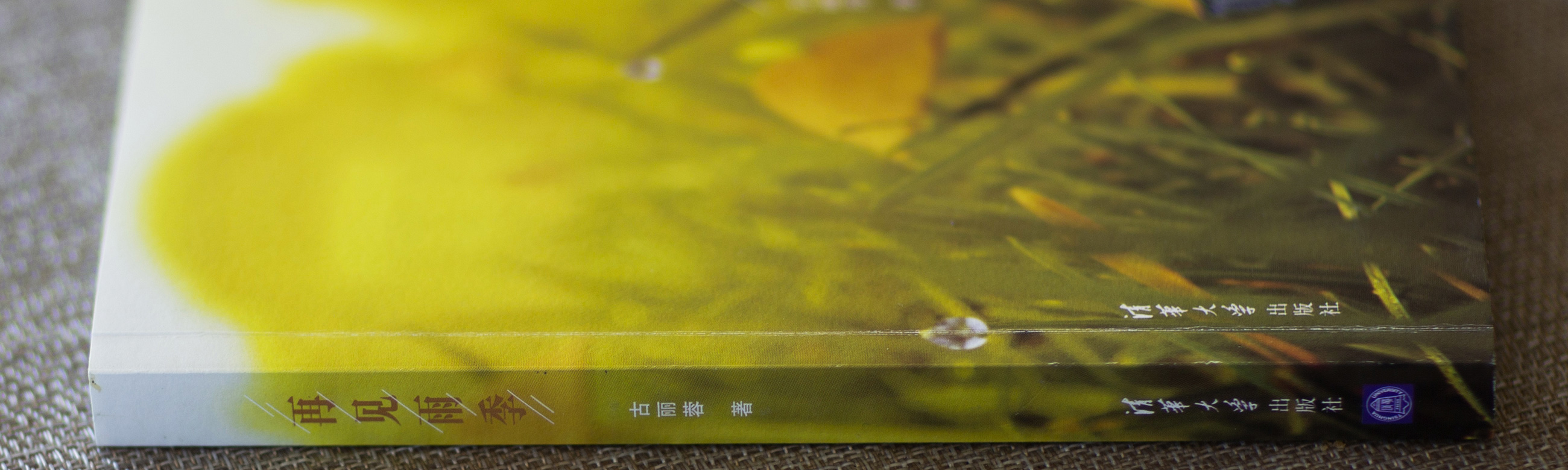 再见雨季